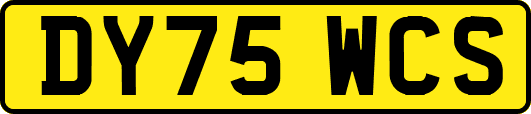 DY75WCS