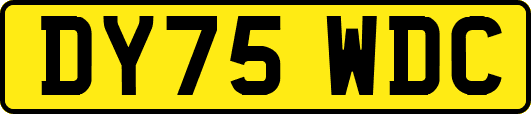 DY75WDC