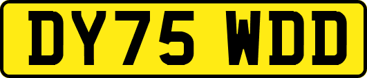 DY75WDD