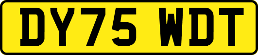DY75WDT