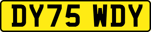 DY75WDY