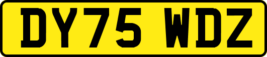 DY75WDZ