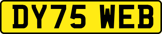 DY75WEB