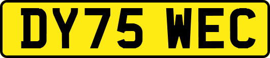 DY75WEC