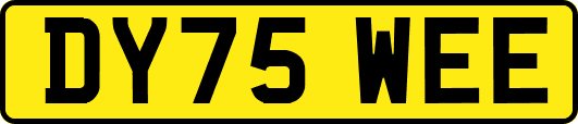 DY75WEE