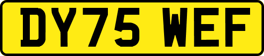 DY75WEF