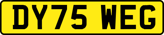 DY75WEG