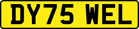 DY75WEL
