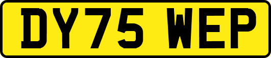 DY75WEP