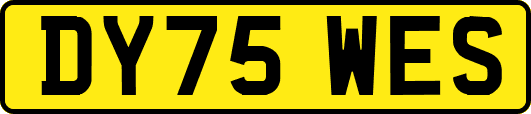 DY75WES