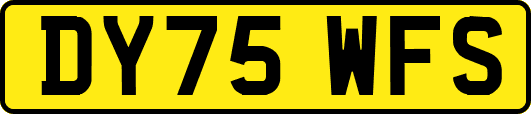 DY75WFS