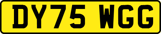 DY75WGG