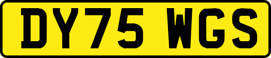 DY75WGS