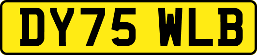 DY75WLB