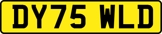 DY75WLD