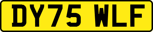 DY75WLF