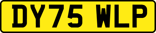 DY75WLP