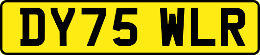 DY75WLR