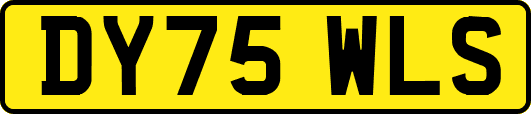 DY75WLS