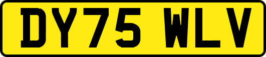 DY75WLV