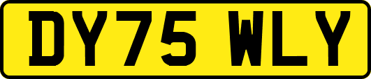 DY75WLY