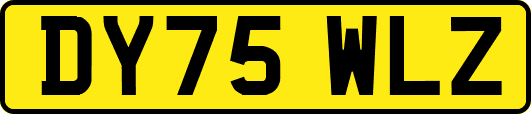DY75WLZ