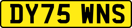 DY75WNS
