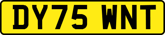DY75WNT