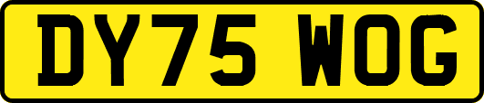 DY75WOG