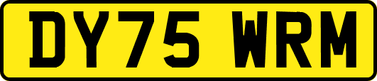 DY75WRM