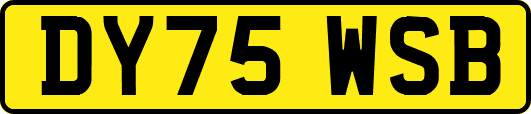 DY75WSB