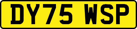 DY75WSP