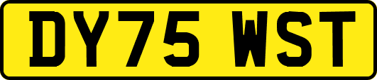 DY75WST