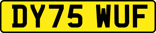DY75WUF