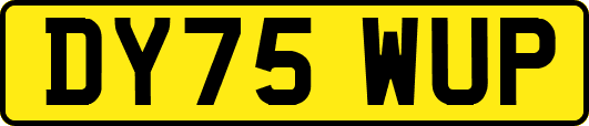 DY75WUP