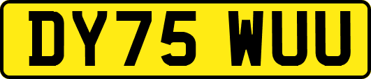 DY75WUU