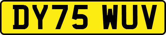 DY75WUV