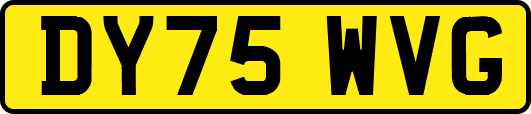 DY75WVG