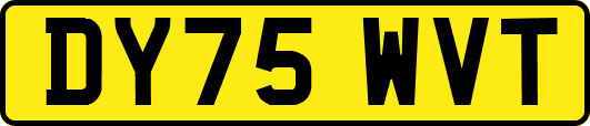 DY75WVT