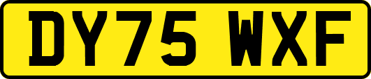 DY75WXF