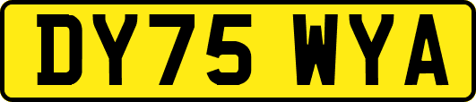 DY75WYA