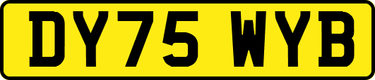 DY75WYB