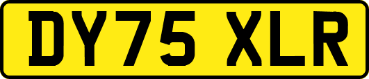 DY75XLR