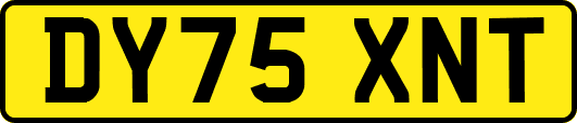 DY75XNT