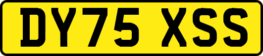 DY75XSS