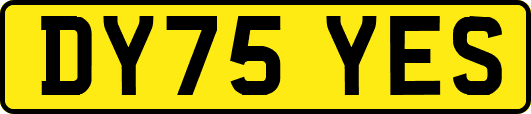 DY75YES