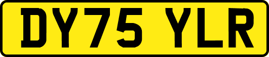 DY75YLR