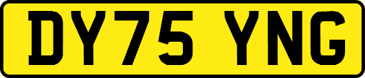 DY75YNG