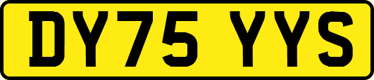 DY75YYS