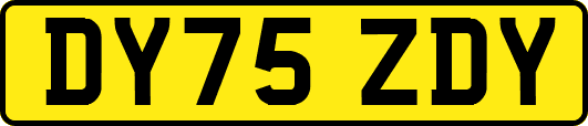 DY75ZDY